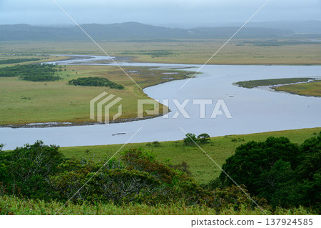 北海道濱中町壯麗的濕地景觀籠罩在薄霧之中。 北海道濱中町壯麗的濕地景觀籠罩在薄霧之中。 137924585