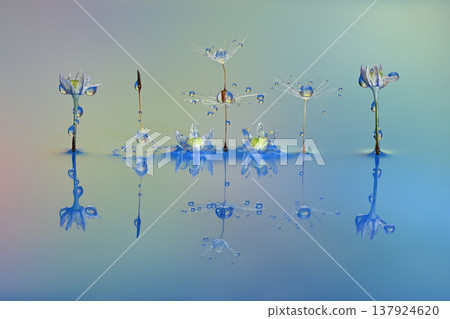 水滴照片創作照片 水滴照片創作照片 137924620