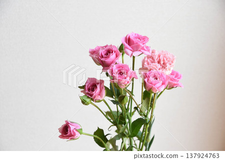 Pink roses Pink roses 137924763