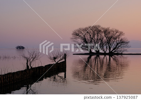 琵琶湖北岸水下樹木的日落景色 琵琶湖北岸水下樹木的日落景色 137925087