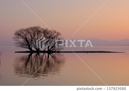 琵琶湖北岸水下樹木的日落景色 137925088