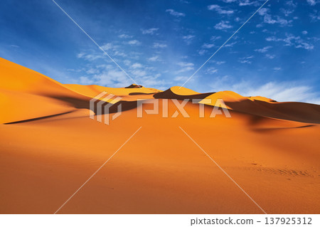 Sand dune in Sahara Desert Sand dune in Sahara Desert 137925312