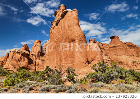 Red rocks in Arches National park, Utah, USA 137925326
