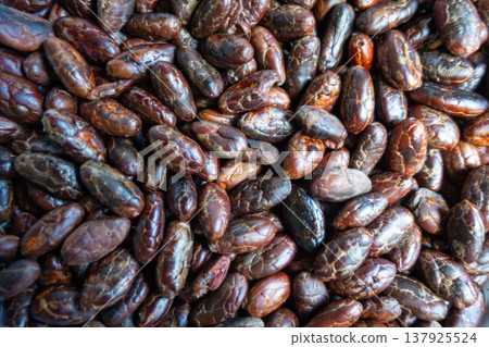 Roasted cacao beans after being processed in the Amazon rainforest Roasted cacao beans after being processed in the Amazon rainforest 137925524