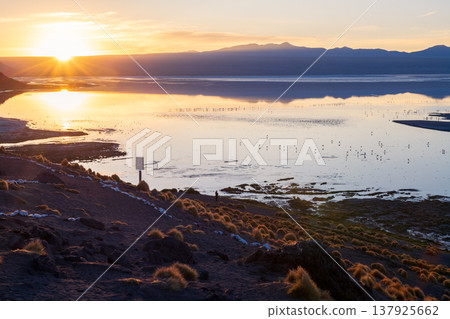 Serene sunrise over mountain lake with golden reflection in Bolivia Serene sunrise over mountain lake with golden reflection in Bolivia 137925662