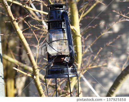 Lights installed on trees 137925858