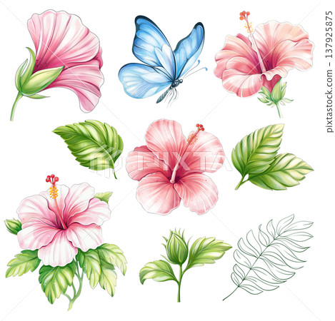 Tropical flower hibiscus watercolor set, summertime clipart with butterfly and palm leaves, isolated Tropical flower hibiscus watercolor set, summertime clipart with butterfly and palm leaves, isolated 137925875