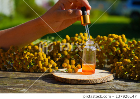Tansy essential oil in a glass bottle on a wooden background near yellow tansy flowers. Tincture extract with medicinal tansy. Herbal medicine concept. spa 137926147