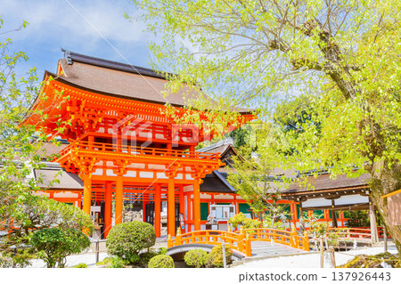 Kamigamo神社花門 Kamigamo神社花門 137926443