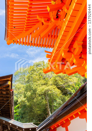 Kamigamo神社花門 Kamigamo神社花門 137926444