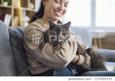 Close up of calm cat in owners arms at home, cozy pet bonding moment portrait 137926555