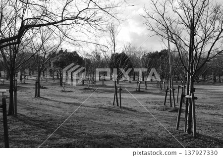 神戶市一座公園裡,寧靜的自然風光徐徐展開。 神戶市一座公園裡,寧靜的自然風光徐徐展開。 137927330