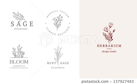 Minimalist vintage botanical logo set with hand drawn floral line art elements Minimalist vintage botanical logo set with hand drawn floral line art elements 137927483
