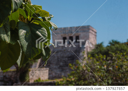 Lush green leaves frame El Castillo at the Tulum ruins, sunlit Mayan stone temple on the Yucatan coast, blending tropical foliage with ancient Mesoamerican history Lush green leaves frame El Castillo at the Tulum ruins, sunlit Mayan stone temple on the Yucatan coast, blending tropical foliage with ancient Mesoamerican history 137927857