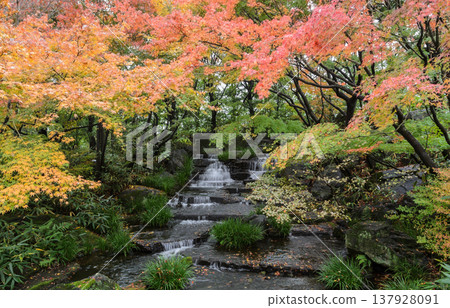 Kokoen, traditional Japanese garden during autumn season in Himeji, Japan Kokoen, traditional Japanese garden during autumn season in Himeji, Japan 137928091