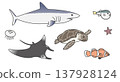 A set of illustrations of marine life such as sharks and sea turtles. 137928124