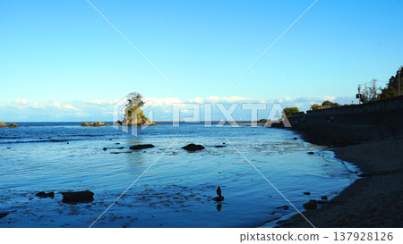 春天多雨的海灘 137928126