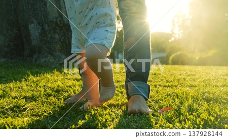 Walking children's bare feet on a green lawn close-up. Child learns to take the first steps on the grass. Baby learns to walk with the help of his mother on a green grass in the park. Walking children's bare feet on a green lawn close-up. Child learns to take the first steps on the grass. Baby learns to walk with the help of his mother on a green grass in the park. 137928144