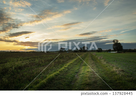 A dirt road between fields on an autumn evening A dirt road between fields on an autumn evening 137928445