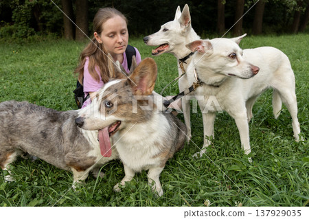Professional dog walker young woman with pack of dogs is sitting on grass and enjoying walk animals. Professional dog walker young woman with pack of dogs is sitting on grass and enjoying walk animals. 137929035