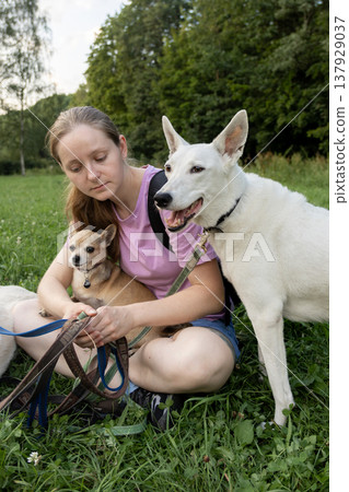 Professional dog walker young woman with pack of dogs is sitting on grass and enjoying walk animals. Professional dog walker young woman with pack of dogs is sitting on grass and enjoying walk animals. 137929037