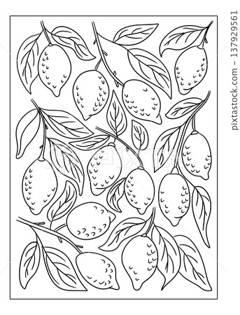 Black and white drawing of lemon branches with leaves, displaying numerous lemons in different positions, ideal for coloring activities or artistic designs Black and white drawing of lemon branches with leaves, displaying numerous lemons in different positions, ideal for coloring activities or artistic designs 137929561