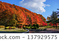 The fiery autumn leaves of Nibetsu, Akita City 137929575