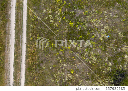 country road, view from above, aerial view country road, view from above, aerial view 137929685