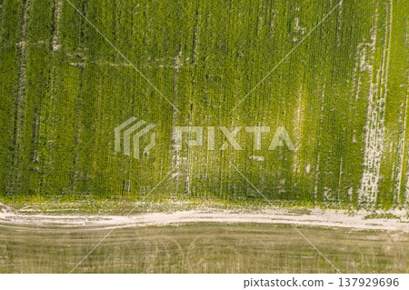 country road, view from above, aerial view country road, view from above, aerial view 137929696