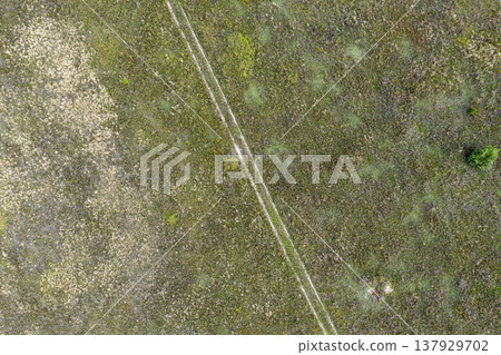 country road, view from above, aerial view 137929702