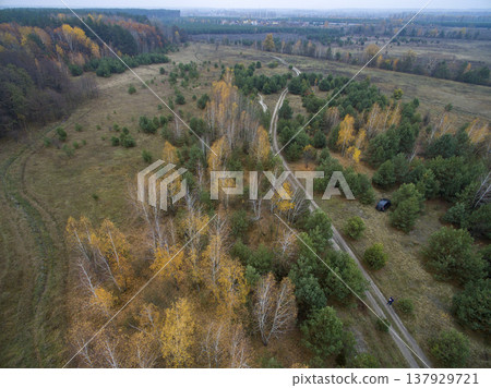 wild field, view from above wild field, view from above 137929721