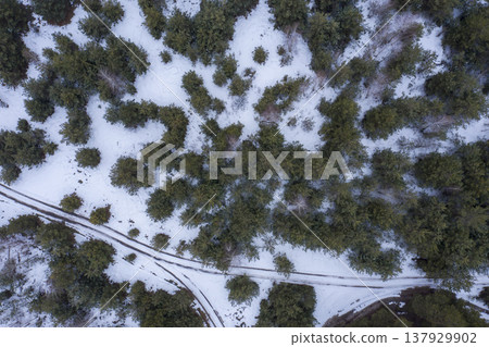 forest, tree, nature, above, green, landscape, background, view, aerial, outdoor, top, park, wood, environment,  summer, natural, plant, high, beautiful, texture, travel, wild, season, foliage, patter 137929902