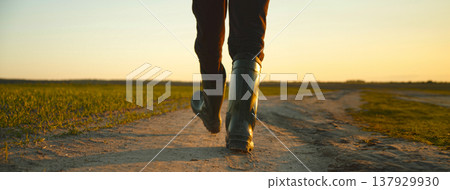 AGRICULTURE. Man farmer in rubber boots walks along a country road near a green field of wheat grass. Concept of agricultural business. 137929930