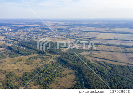 view from above of forest view from above of forest 137929968
