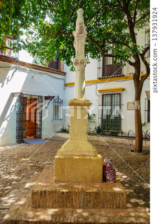 Square in Granada, Spain Square in Granada, Spain 137931924