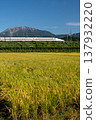 The Tokaido Shinkansen N700S runs through the countryside at the foot of Mt. Ibuki 137932220