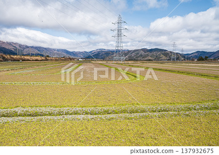 Rural landscape of Makino town, Okubiwako, Takashima City, Shiga Prefecture 137932675