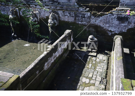 印尼、峇裡島、烏布、Goa Gajah 遺址 137932799