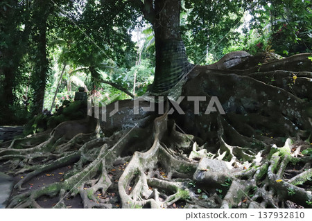 Indonesia, Bali, Ubud, Goa Gajah ruins Indonesia, Bali, Ubud, Goa Gajah ruins 137932810