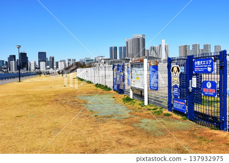 東京江東區豐洲古魯裡公園的遛狗區與高樓 東京江東區豐洲古魯裡公園的遛狗區與高樓 137932975