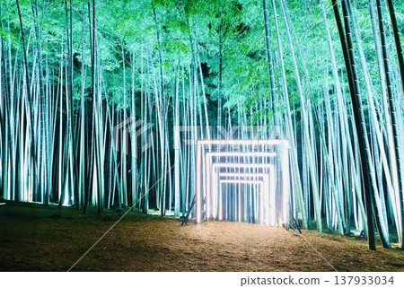 遍地蔓延，閃耀光芒… 137933034