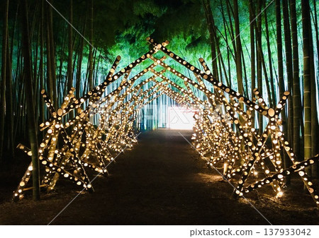 A double tunnel of light and shadow A double tunnel of light and shadow 137933042