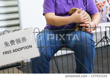 Volunteer holding pet near adoption sign at animal exhibition booth Volunteer holding pet near adoption sign at animal exhibition booth 137933102