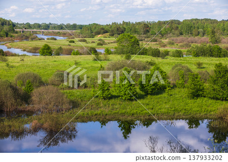 Tranquil summer landscape featuring green fields Tranquil summer landscape featuring green fields 137933202