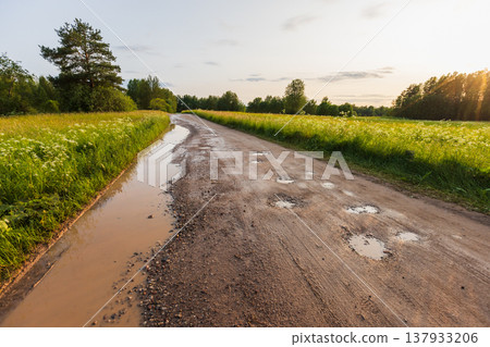A rural dirt road lined by wildflower meadows and trees A rural dirt road lined by wildflower meadows and trees 137933206
