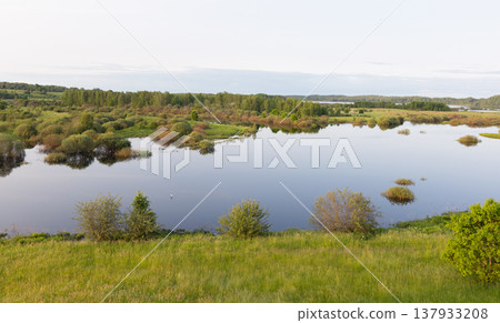 A tranquil summer wetland and lake A tranquil summer wetland and lake 137933208