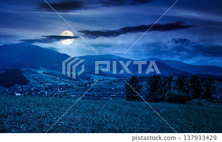 Summer landscape with grassy pasture in mountains at night. beautiful countryside imagery with settlement in the distant valley under cloudy sky. full moon over mysterious rural scenery Summer landscape with grassy pasture in mountains at night. beautiful countryside imagery with settlement in the distant valley under cloudy sky. full moon over mysterious rural scenery 137933429