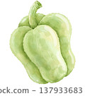 Hand-painted watercolor bell pepper. 137933683