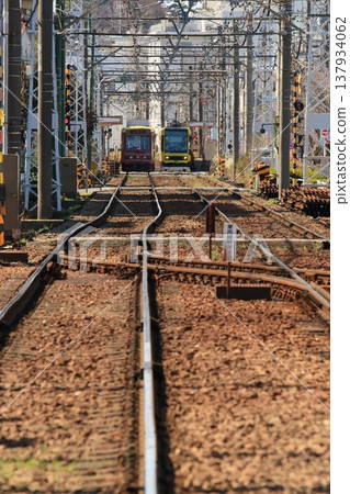 都電荒川線 東京櫻花有軌電車 137934062