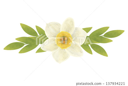 White daffodil flower, composition with green leaves. Handmade cartoon illustration in flat style. Watercolor, pastel, gouache. For design of products White daffodil flower, composition with green leaves. Handmade cartoon illustration in flat style. Watercolor, pastel, gouache. For design of products 137934221
